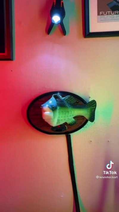 Should jack see this?