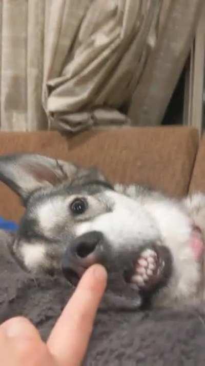 I love her little teefs