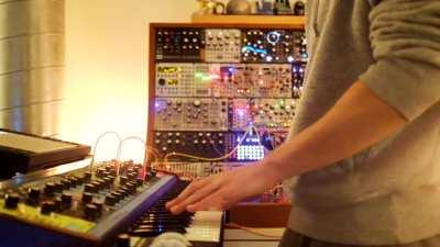 Matriarch, modular, and Felt Instruments