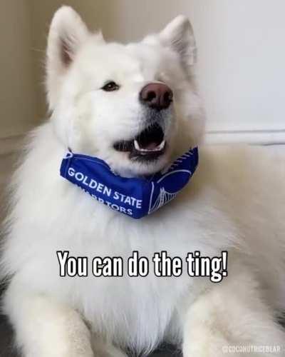 This good girl has a very important public service announcement.