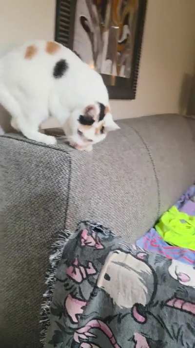 Mimi and her single handed bongo session