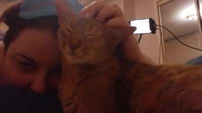 Sleepy Ramsès getting scritches.