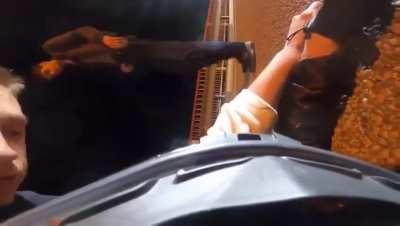 Luck was on her side