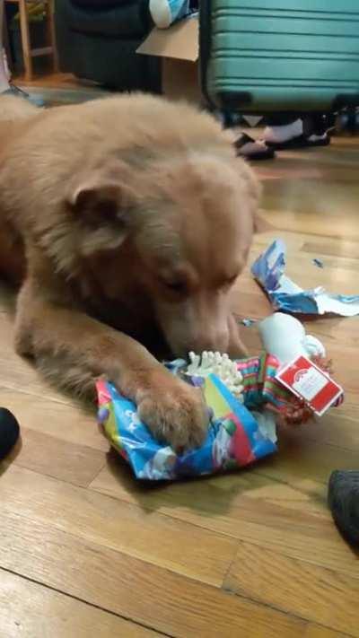 to make the doggo happy