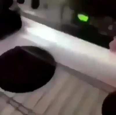 rodentintercourse - Video #1790