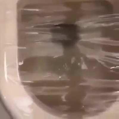 Task failed successfully.