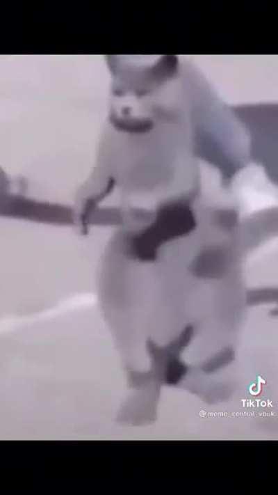 just touched down in London town