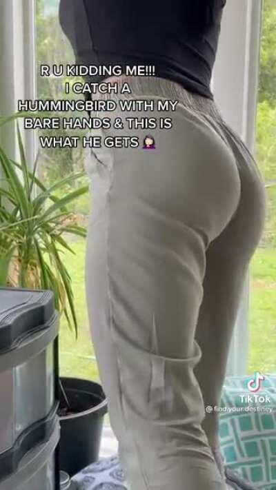 I actually wanted to see how she caught the hummingbird.