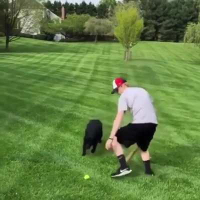 I’m not going all the way over there when there’s another ball right here