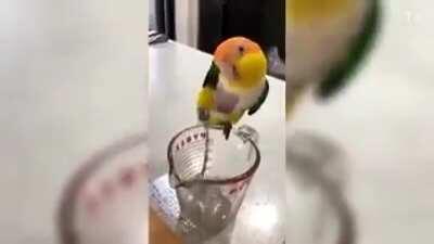 My upstairs neighbors