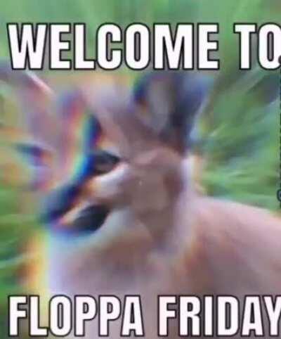 K today is Christmas but most importantly today is Floppa Friday