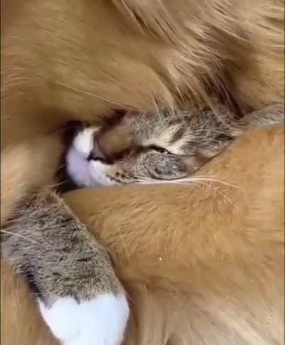 If not for sleeps...why is it made of warm?