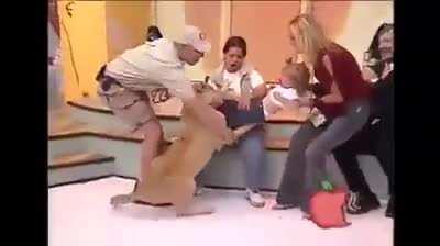 Let's put this hungry cat right next to this delicious tiny child. What could go wrong?!?