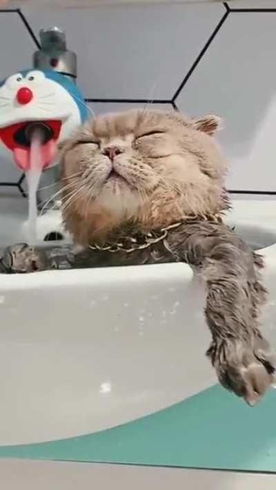 Ты просишь меня не сцать в твои тапки. Но ты не просишь с уважением, не предлагаешь дружбу, даже не думаешь обратиться — крёстный. Однажды, хоть этот день может никогда не наступить, я попрошу оказать мне услугу, а до тех пор прими это, как подарок в день