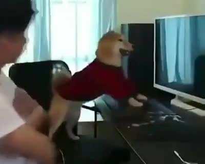 That's my boy (≖ ‿ ≖)