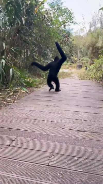 Actual footage of me clocking out and leaving work