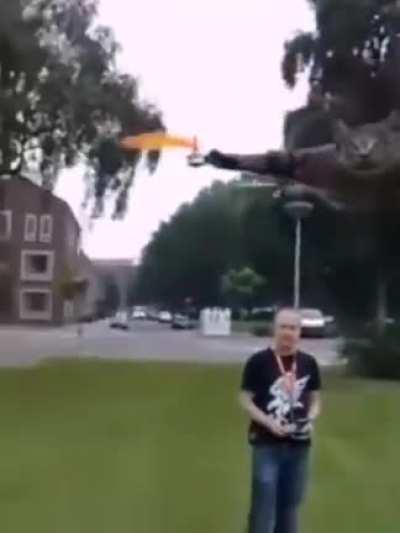 Helicopter helicopter