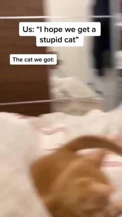 Not sure what his goal was.