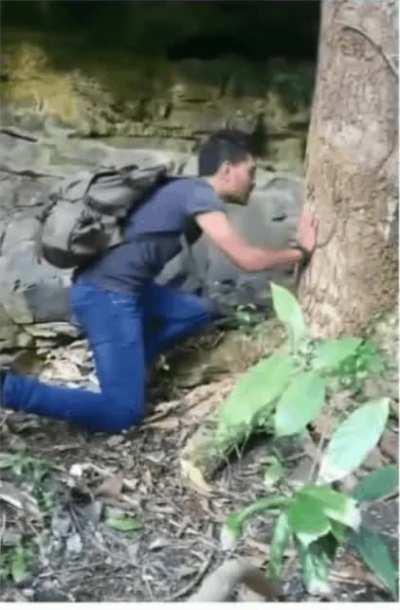 This deserves an Oscar. (Via: @ti.zilwa)