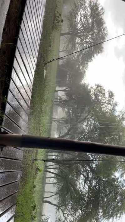 The rain is beginning in the Serengeti!