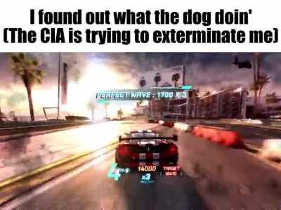 when the dog is putting his hand on others hands