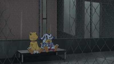 Current state of the community waiting for Digimon Survive...