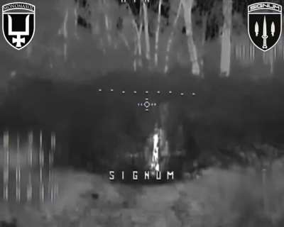Ukrainian fiber-optic FPV drone hit a hidden Russian artillery gun. Lyman direction, SIGNUM Battalion. 14.09.2025