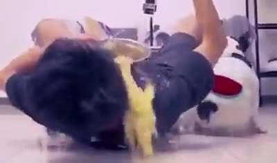 Después de ver esto, no se si confiar en un perro