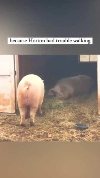 When Horton developed mobility issues his brother Henry helped by bringing lunch to him
