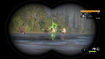 So I was visited while hunting caribou..