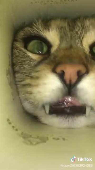 i hope this makes your day/night better :)