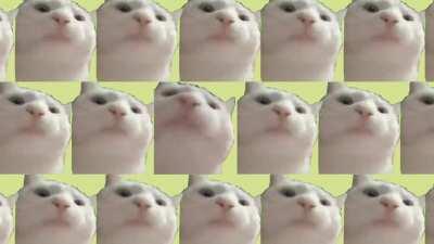 Cat Jams to Igor's Theme