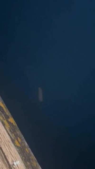 Frank ocean or something idk I’ve never heard him