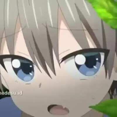 Put that a$$ away!!!!! (if you don't know the sauce......are you okay? The sauce is Uzaki chan wa asobitai!)