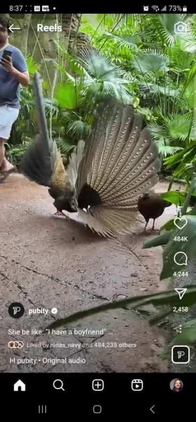 After a lengthy divorce in court and all of the attendant emotional trauma, Jerald decides he's ready to get back on the scene, but quickly discovers that dating in his 40s is not at all like it was in 1986.