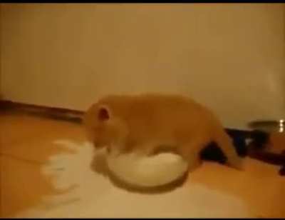 To drink from a bowl