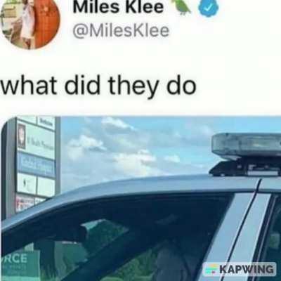 the shenanigans got a tad too silly