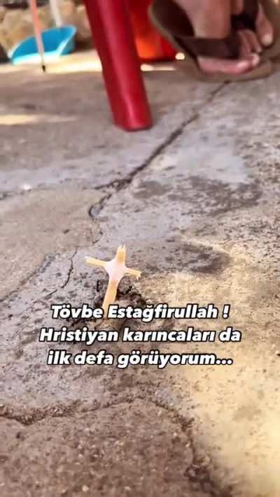 Hristiyan Karıncalar