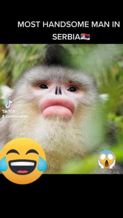 I love srbian man 😍😍😳