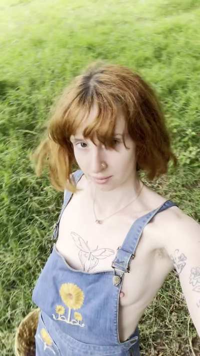 Another successful mushroom harvest