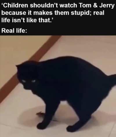 my childhood was great