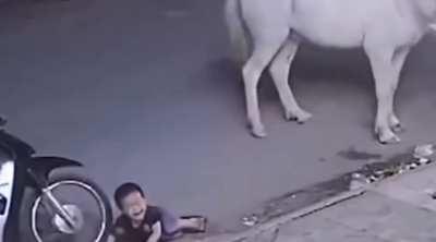 Slapping a horse