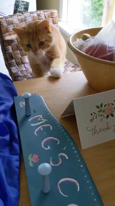 Cooper's sworn enemy - the coat rack