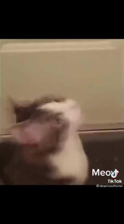 The corner is a legend