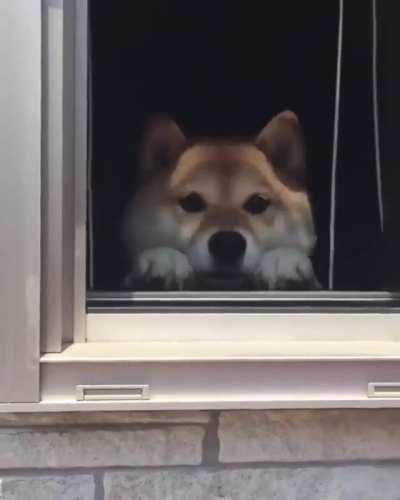 Yes? Can I help you?