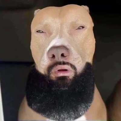 XeReQuInHa MeLaNcÓlIcA