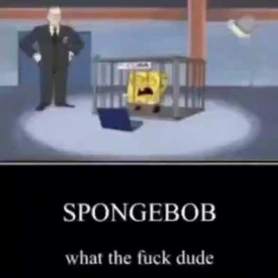 yo spongebob wtf