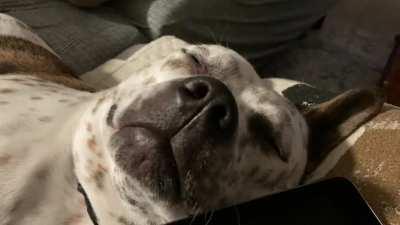 What’s that smell?