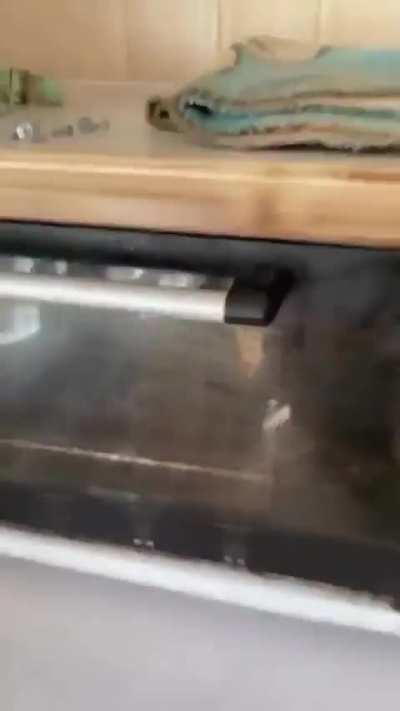 Alright, which one of you is it…