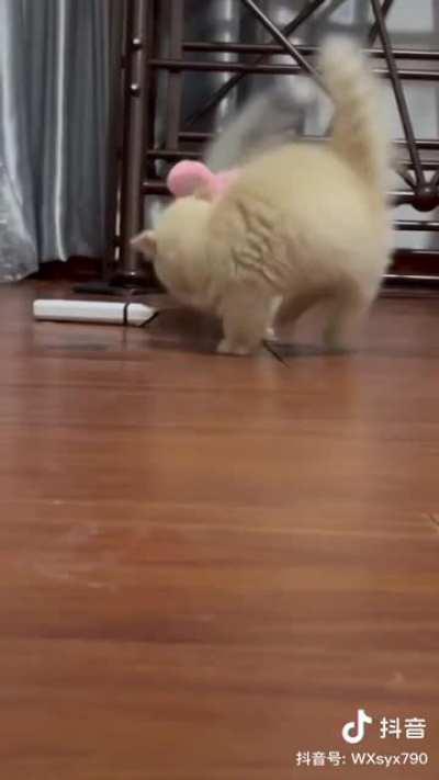 Other one looks so confused and sad looool